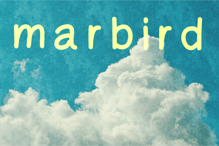 mar-bird